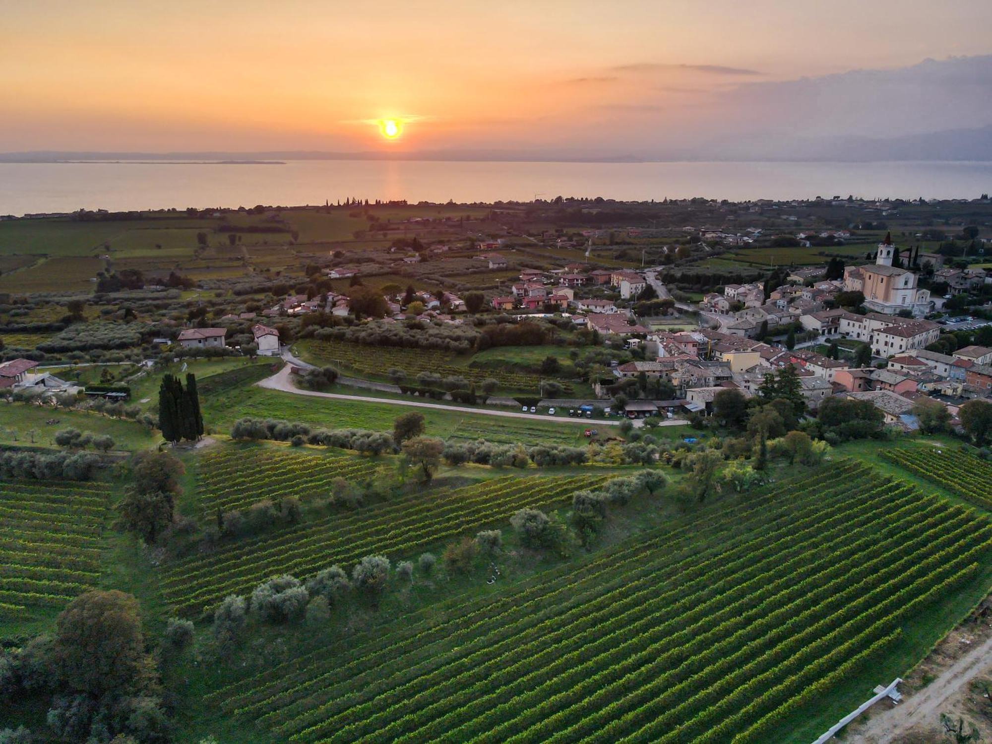 Villa Calicantus Бардолино Экстерьер фото